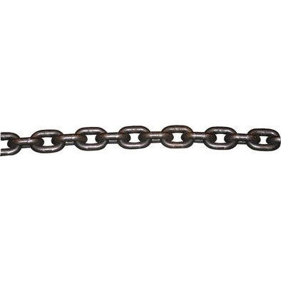 CHAINE 12X36X15.6 GR80 MARINE