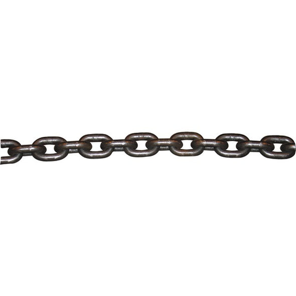 CHAINE 12X36X15.6 GR80 MARINE