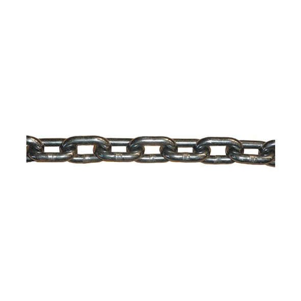 CHAINE 14X49X19.6 GR80 MARINE