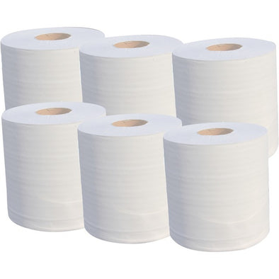 BOBINE OUATE BLANC ECO 2 PLIS 19G 19,5X30 450F X6