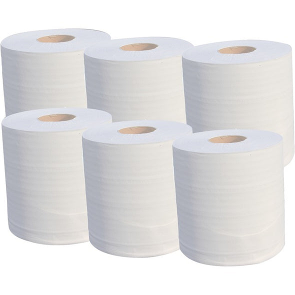 BOBINE OUATE BLANC ECO 2 PLIS 19G 19,5X30 450F X6